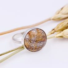 Hells Canyon Petrified Wood Ring